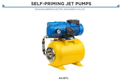 CE-certificeret AUJET100L automatisk centrifugalpumpe - 220/50Hz 21 kg letvægts til global eksport